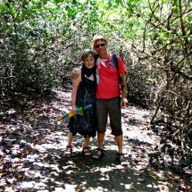In the mangrove forest